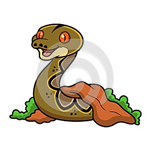 Cute reticulatus python cartoon out from hole