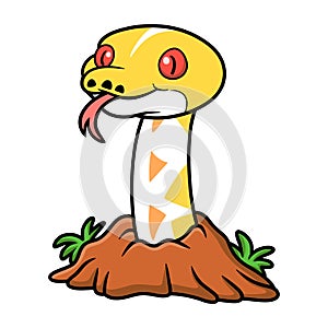 Cute amelanistic reticulated python cartoon out from hole