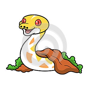 Cute amelanistic reticulated python cartoon out from hole