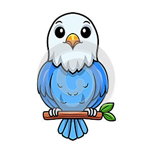 Cute blue love bird cartoon on tree branch