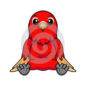 Cute red suffusion lovebird cartoon photo