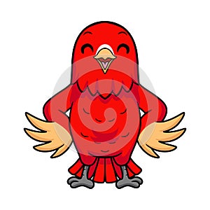 Cute red suffusion lovebird cartoon photo