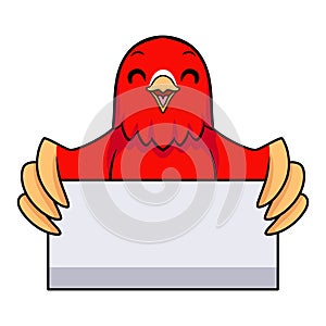 Cute red suffusion lovebird cartoon holding blank sign photo