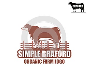 GREAT AND SIMPLE BRAFORD COW photo