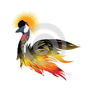 Crested Crane Bird