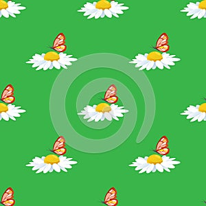 Beautiful white sunflower with yellow butterfly isolated on green background is in Seamless pattern - vector