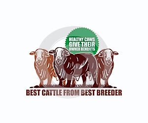 BEST CATTLE AND FAST MEAT PRODUCTION LOGO photo