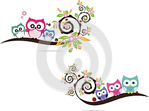 colorful cartoon funny owls set on white background