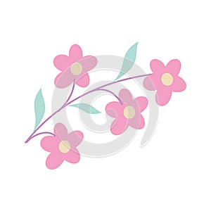 cute flower with branches and leaves isolated icon vector illustration design. The flower design