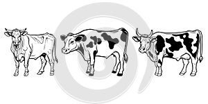 Hand-drawn, flat, vector cow outline design