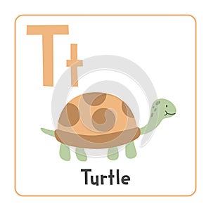 Turtle clipart. Turtle vector illustration cartoon flat style. Animals start with letter T. Animal alphabet card