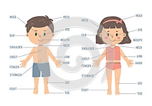 Body parts chart cartoon clipart. Cute boy and girl with body parts names. Human body vector illustration flat cartoon style