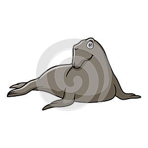 Funny Elephant seals are relaxing