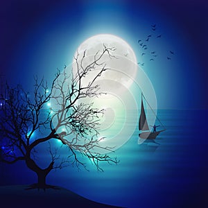 Soul journey, freedom, purify, path to unknown, destiny, rebirth, shadow release, full moon photo