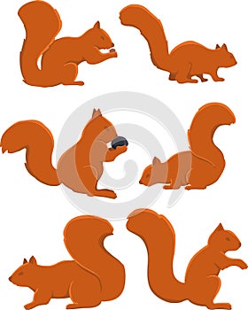 Squirrel movements vector