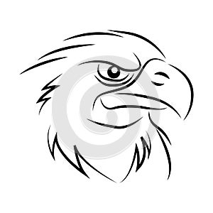 eagle head line art. wild animal. logo design.