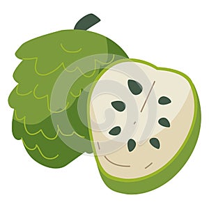 Cartoon sugar apple vector illustration, custard apple, sweetstop or anona, nnona or cherimoya image photo