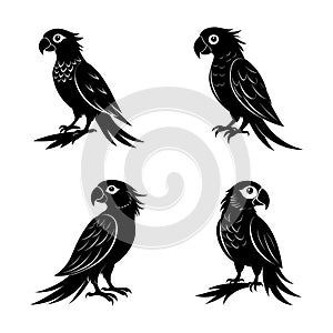 Set of silhouettes of sitting parrot in black in different poses isolated on a white background.