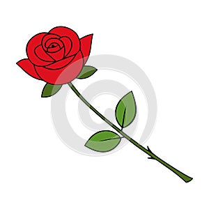 Chinese Red Rose Icon Vector
