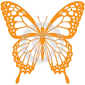 color butterfly silhoutte vector