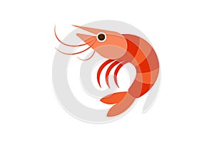 Shrimp vector art illustration eps