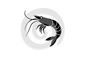 Shrimp vector art illustration eps