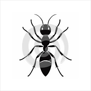Ant icon silhouette vector illustration on white background