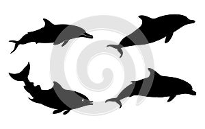 Dolphin silhouette vector set