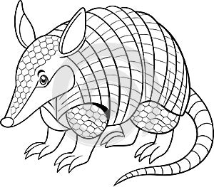 Armadillo Wildlife Silhouette Vector