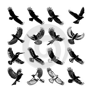 set of silhouettes of birds. Flying Bird Silhouette Design Bundle.