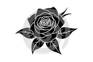 Beautiful flowers vector