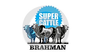 brahman the super cattle logo