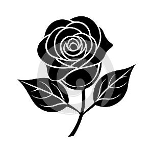 rose flower with leafs vector illustration designicon vector illustration design.