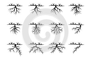 Silhouettes of tree roots in various shapes