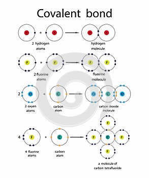 illustration of chemistry, Covalent bond, covalent bonds including single, double, and triple bonds