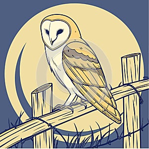 Barn Owl Silent Guardian