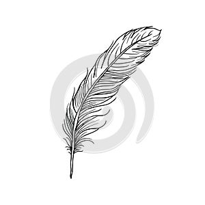 feather icon vector