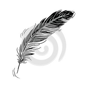 feather icon vector