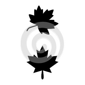 Two black silhouettes of maple leaves on a white background.