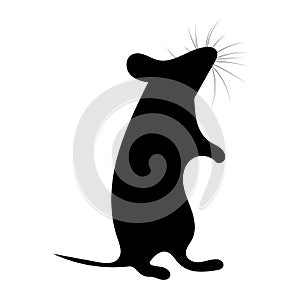 Rat Silhouette Vector Illustration