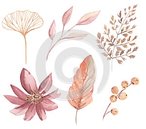 Watercolour Leaves Flowers Berries Pastels Pink Burgendy Leaf Boho