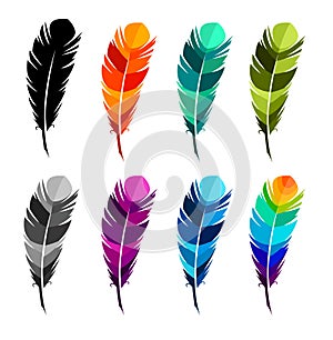 Print art concept colorful design tattoo black feather flying birds swallows silhouette. Vector illustration fly magical pen write