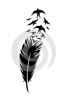 Print art concept colorful design tattoo black feather flying birds swallows silhouette. Vector illustration fly magical pen write