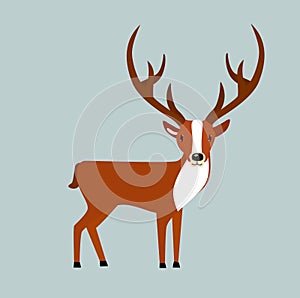 Print. Cartoon deer. Minimalistic illustration. Emblem. Icon. Forest animal. The deer is standing. Reindeer.