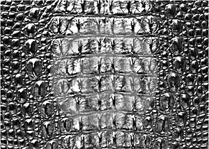 Print Crocodile Texture Leather, Dark gray Background