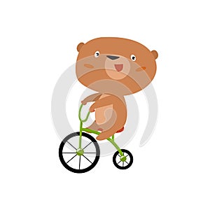 Print. Cute bear on a bike. Forest animal. Sport competitions. Cartoon bear