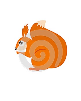 Print. Cute vector squirrel. Forest animal. Little cute squirrel is sitting. Funny cartoon character.