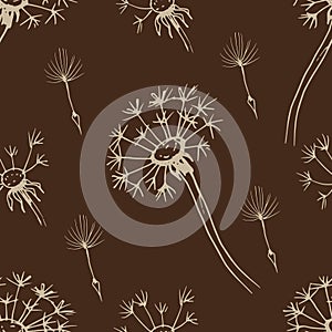 Dandelion flowers wildflowers graphic vector hand
