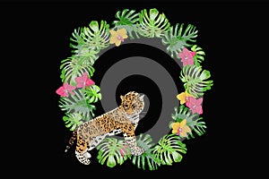 Print exotic flower orchid and jaguar.