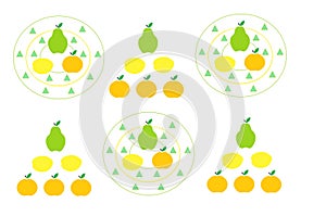 Print fabric fruits vector lemon orange mandarin
